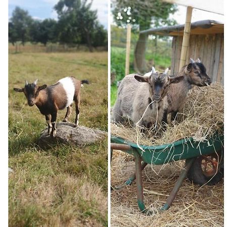 Le Domaine De La Petite Chevre Villa Ploumagoar Bagian luar foto