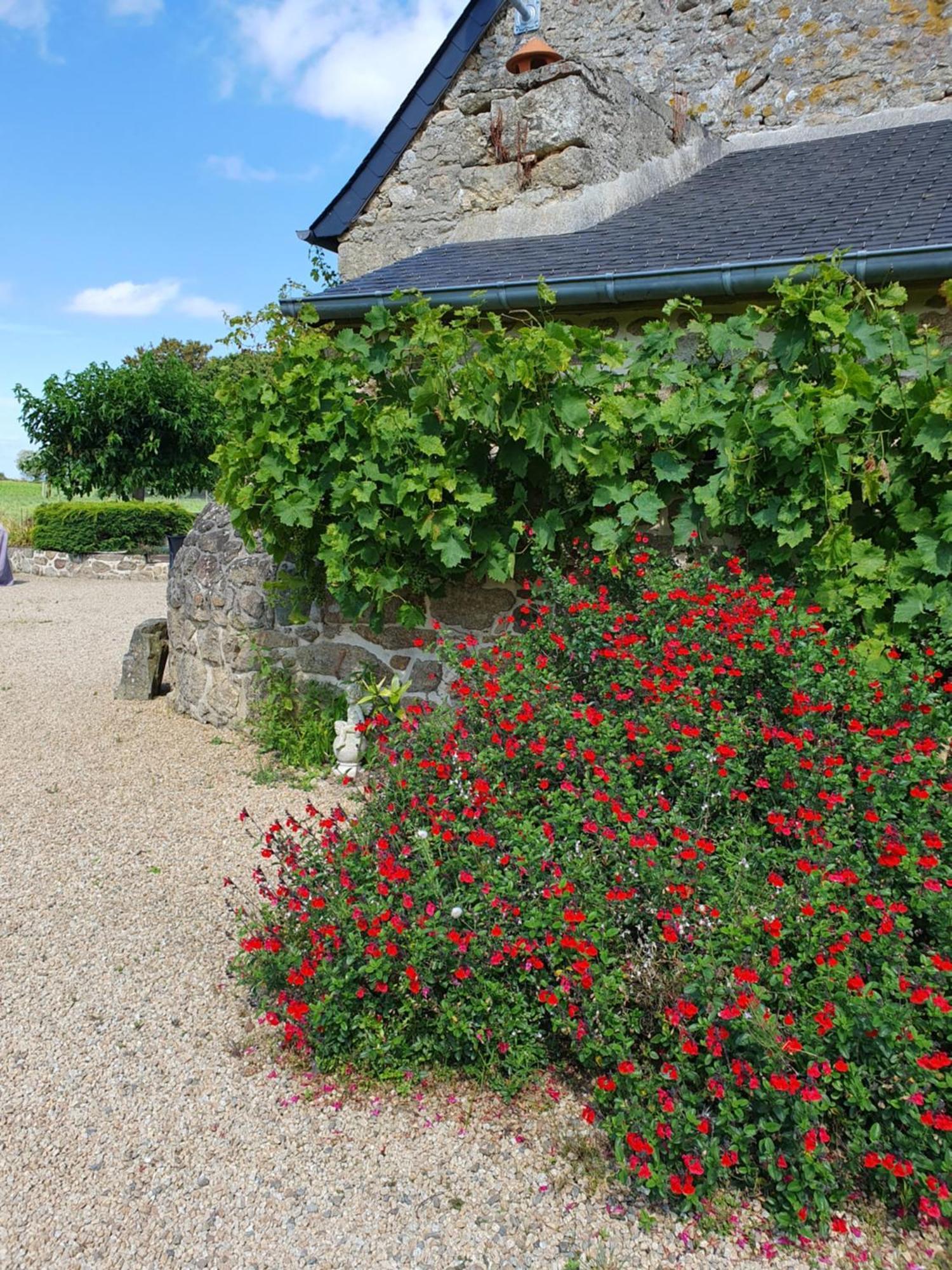 Le Domaine De La Petite Chevre Villa Ploumagoar Bagian luar foto
